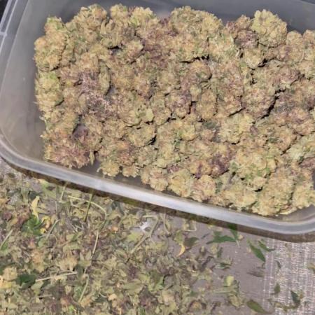 💨🍈🍀 Fresca Melon Clone #1