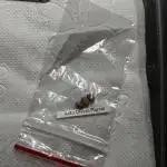 🗿🌋Auto Divine Rapier