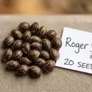 Roger X Series: Finding Cannabranium