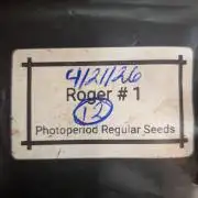 Roger #1 Series: Finding Cannabranium