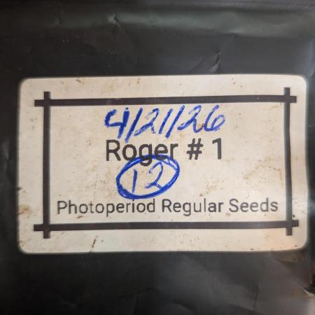 Roger #1 Series: Finding Cannabranium