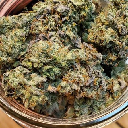 Alien vs. Triangle (Mephisto Genetics)