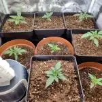 Indoor 2025 (1)-Ts 600 SETUP-
