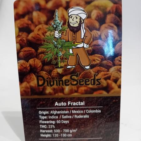 Divine Seeds Auto Fractal