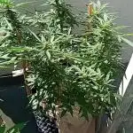 My OutDoor Ladies