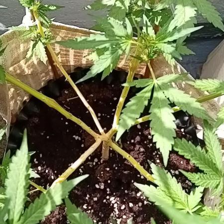 My OutDoor Ladies
