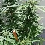 My OutDoor Ladies