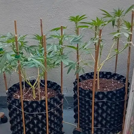 My OutDoor Ladies
