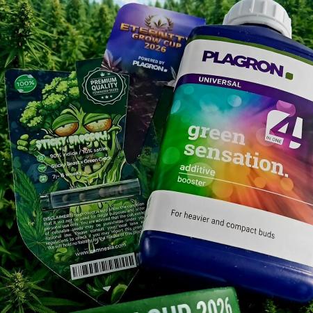 Eternity Grow Cup 2026 Zamnesia/Plagron