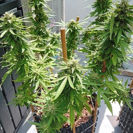 My OutDoor Ladies