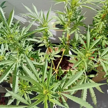 My OutDoor Ladies