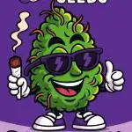 Dank Berry Anesia Seeda