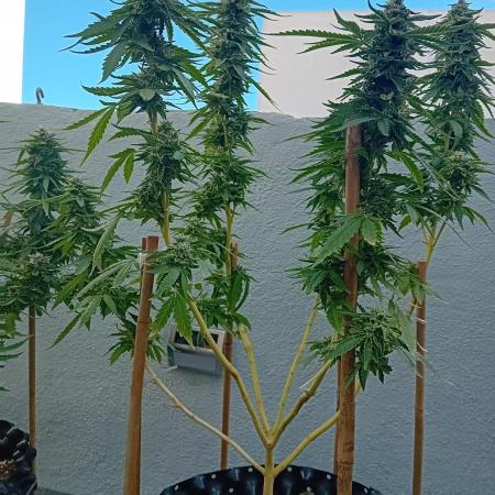 My OutDoor Ladies