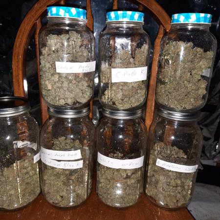 Zkittlez for Christmas
