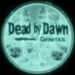 Dead By Dawn Genetics