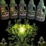 Dead By Dawn Genetics