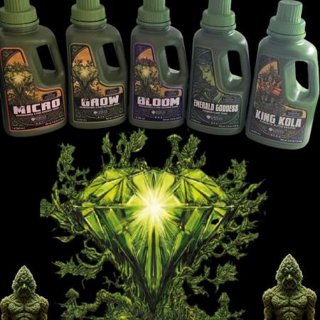 Dead By Dawn Genetics