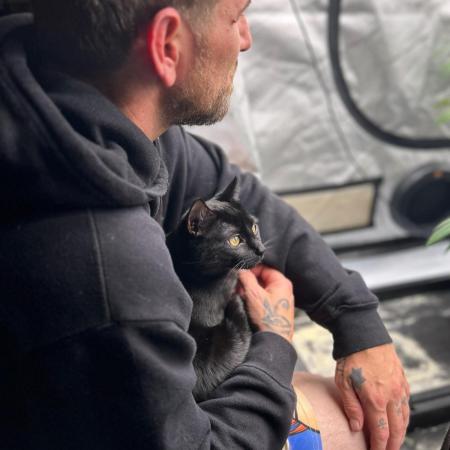 Dead By Dawn Genetics