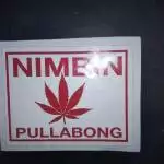 69 bud