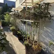 Humble Garden 25