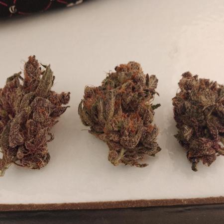 Ripper Seeds again K-Mintz& Radical Juice