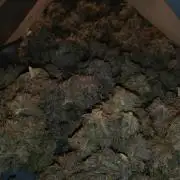 Black Cherry Cookies