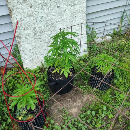 3 outdoors, mutant auto included!