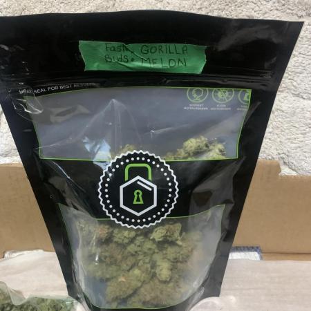 Go-Gorilla Melon 🦍🍉