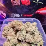 🥊🐐☕️🦍🍪🦍⛽️