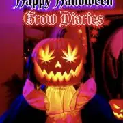 🎃🦃🎄HalloThanksMasNewYear🎃🦃🎄