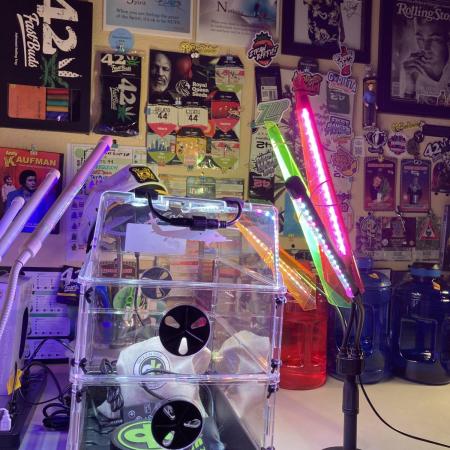 🥊🥧🍧🐐☕️🐓🔩🍌