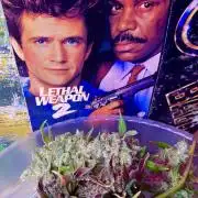 🎃🧛‍♂️😈💀🎃 '25