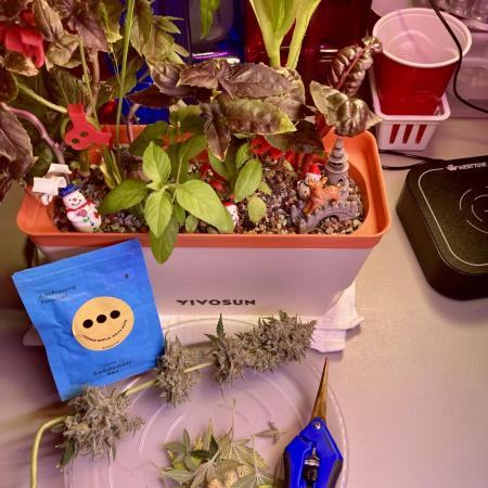 🍓🍰🤨🌿🍑🍪🍎