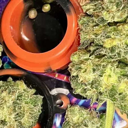 🥊🐐☕️🦍🍪🦍⛽️