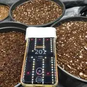 🔥📦RF3 AUTO by Fast Buds