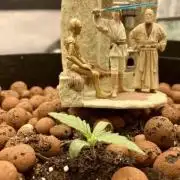 🥊🥧🍧🐐☕️🐓🔩🍌