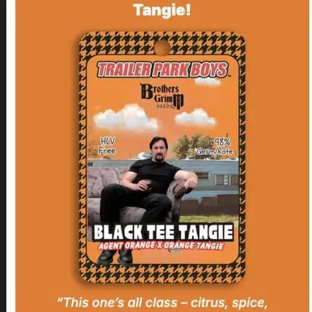 Montel tragic rise fall of Jar Jar Binks