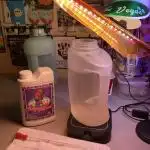 🎃🧛‍♂️😈💀🎃