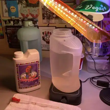 🎃🧛‍♂️😈💀🎃