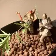 Montel tragic rise fall of Jar Jar Binks