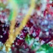 🎃🧛‍♂️😈💀🎃 '25