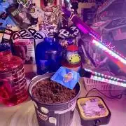 Montel tragic rise fall of Jar Jar Binks