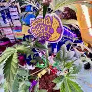 🥊🥧🍧🐐☕️🐓🔩🍌