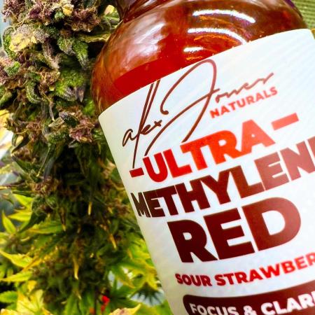 ๐๐งโโ๏ธ๐๐๐