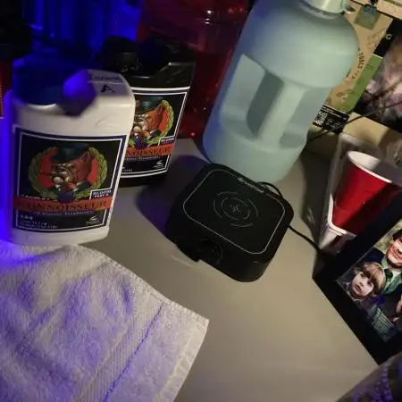 🍓🍰🤨🌿🍑🍪🍎