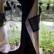 🥊🥧🍧🐐☕️🐓🔩🍌