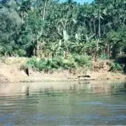 Montel tragic rise fall of Jar Jar Binks