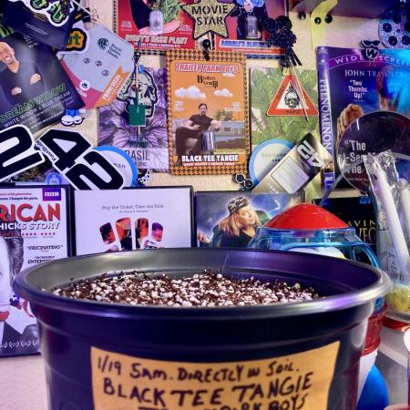 Montel tragic rise fall of Jar Jar Binks