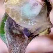 Montel tragic rise fall of Jar Jar Binks