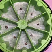 🥊🥧🍧🐐☕️🐓🔩🍌